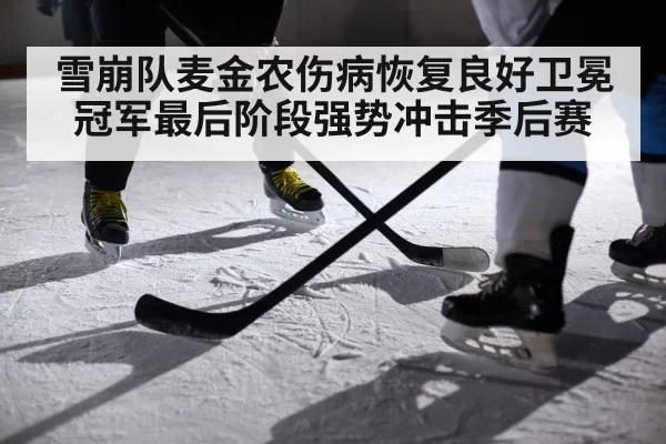 雪崩队麦金农伤病恢复良好卫冕冠军最后阶段强势冲击季后赛